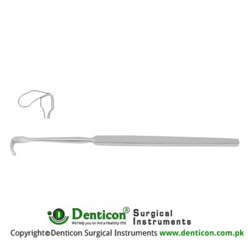 Senn-Green Retractor Fig. 2 Stainless Steel, 15 cm - 6" Blade Size 10 x 6 mm